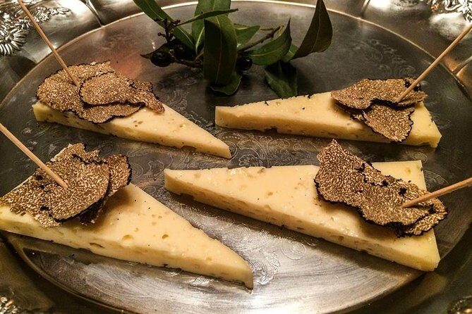 Truffle Hunting in Provence - A Closer Look at the Truffle Hunting Experience