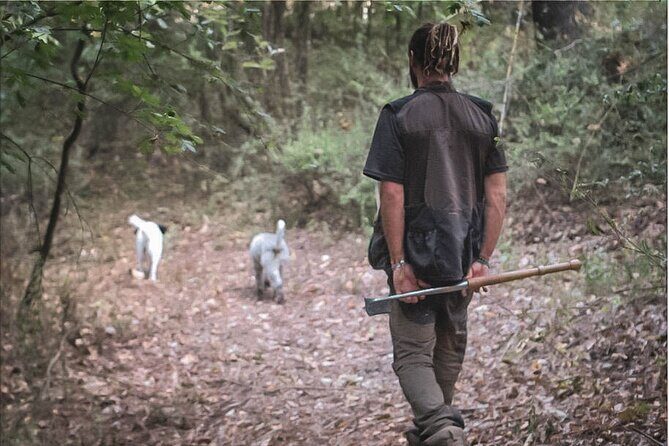 Truffle Hunting in San Gimignano - What Our Reviewers Say
