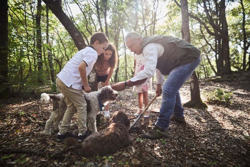 Truffle Hunting In The Hills Of Tuscany - The Practical Side: What You Need to Know
