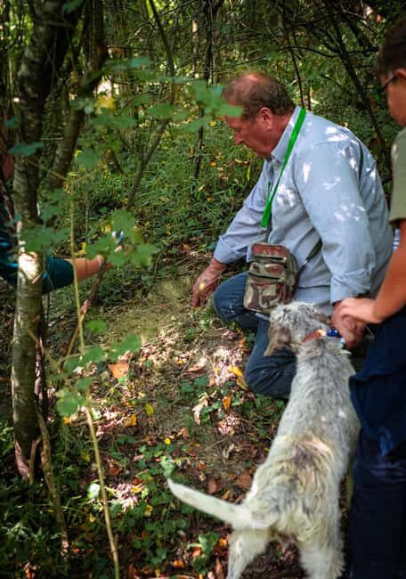 Truffle hunting in the Langhe - Truffle hunting with a real truffle hunter - An In-Depth Look at the Truffle Hunting Tour in the Langhe