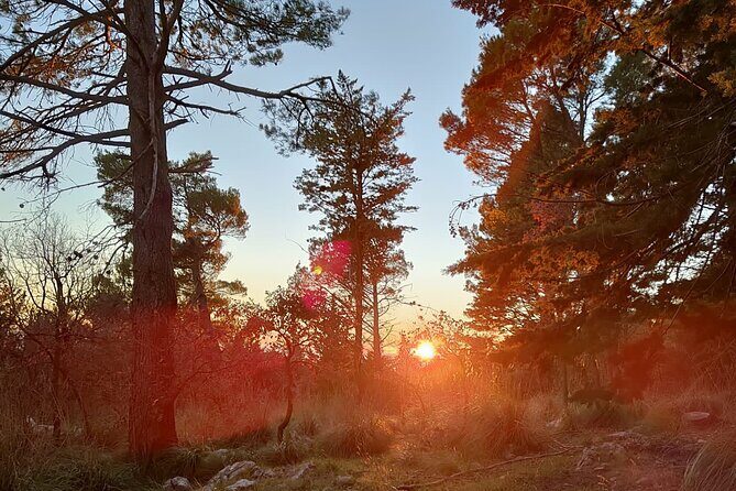 Truffle hunting in the Sicani mountains: a unique experience in Sicily - Who Should Book This?