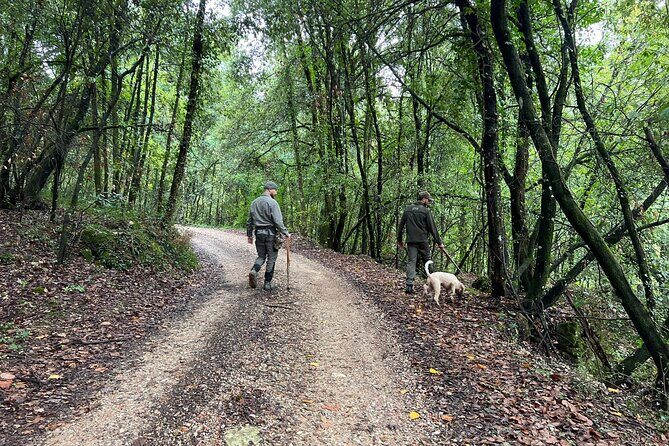 Truffle Hunting, Lunch & Cooking Class in Rome's Countryside - Final Words