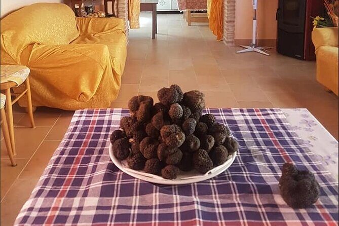 Truffle Hunting with Food tasting - Starting Point & First Impressions