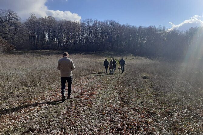 Truffle Hunting with Food tasting - Practical Details & Price