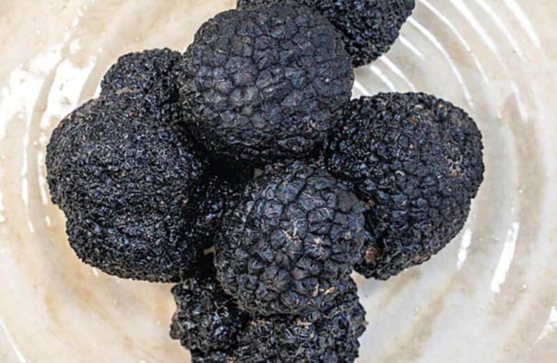 Truffle Tasting & Museum Tour in Umbria, near Perugia - A Closer Look at the Tour Experience