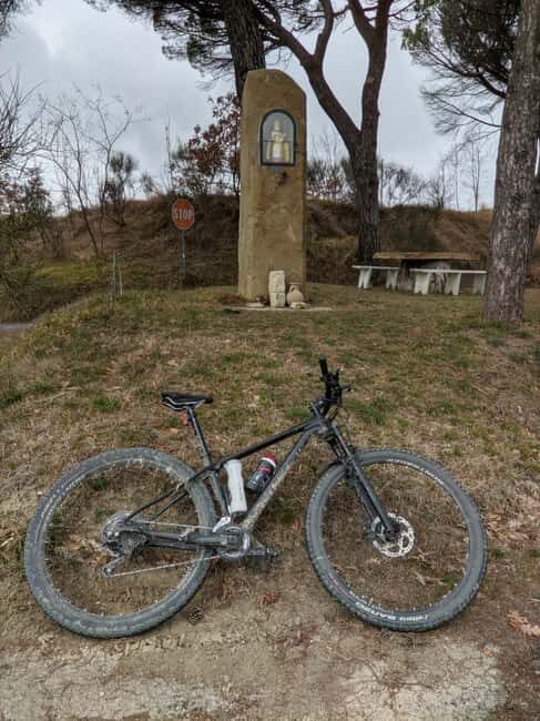 Truffle trail between Gubbio and Pietralunga: an e-bike tour combining taste and history - What to Expect from the Truffle Trail E-Bike Tour