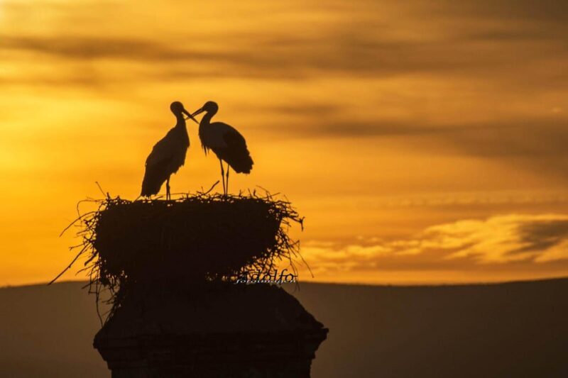 Trujillo :Sunset guided visit "The Sunset Collector". - An In-Depth Look at the Sunset Guided Tour in Trujillo