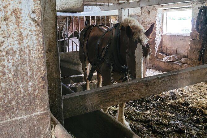 Truly Authentic Lancaster Experience! - Starting Point and Overall Structure