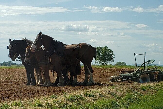 Truly Authentic Lancaster Experience! - Educational and Personal Touches