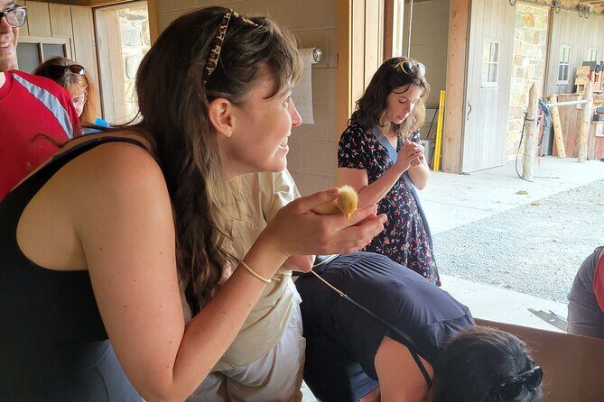 Truly Authentic Lancaster Experience! - Practical Considerations