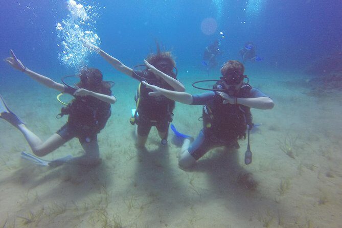 Try a DIVE, discover scuba diving in Mykonos - Final thoughts