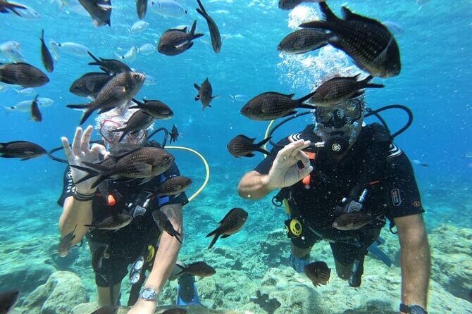 Try a Scuba Diving Experience - What Makes This Tour Stand Out?
