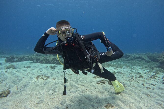 Try Dive in Abades Bay with a private instructor - Who Is This Tour Best For?