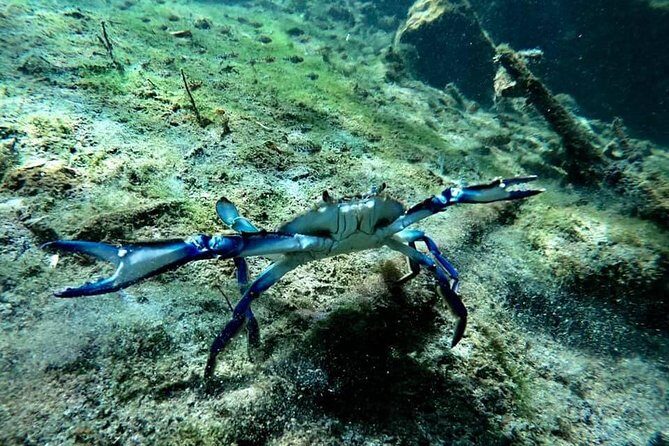 Try dive in beautiful Casa cenote for 2 people - The Value: Is It Worth the Cost?