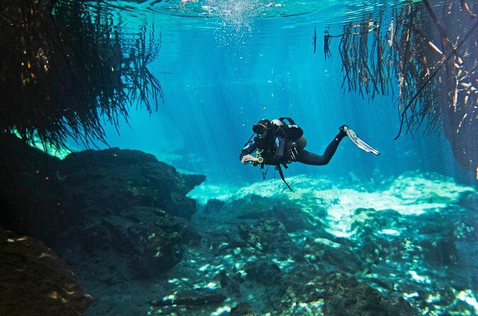 Try dive in beautiful Casa cenote for 2 people - Who Should Consider This Tour?