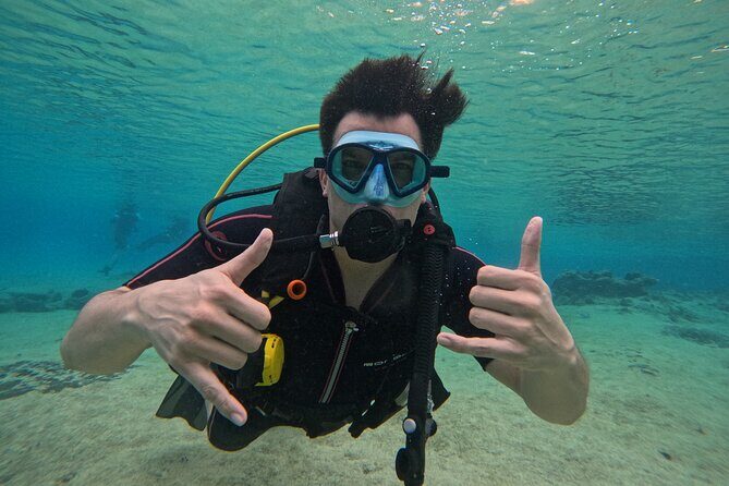 Try diving without previous experience from shore - An in-depth look at what makes this experience worth considering