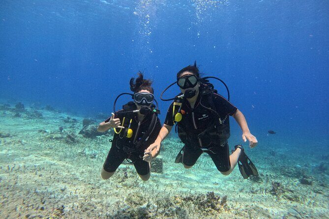 Try diving without previous experience from shore - FAQ