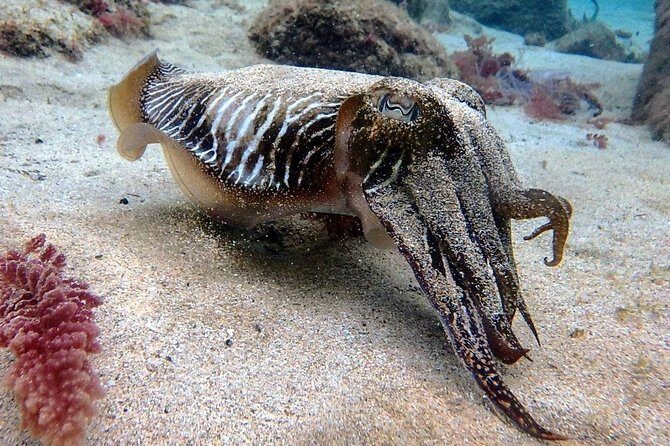 Try Scuba Diving | 2 dives - Key Points