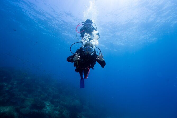 Try Scuba Diving at Cook Island Guided Ocean Dive with Turtles - Key Points