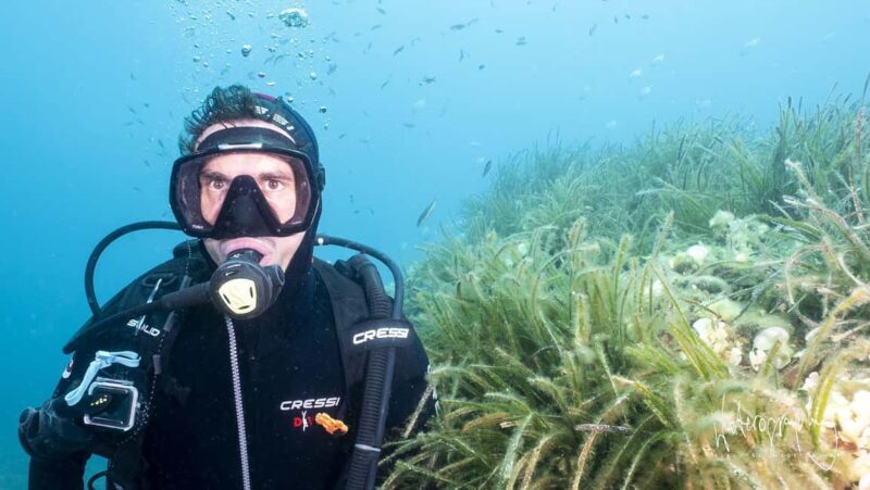 Try Scuba Diving from Boat in Budva - Budva Diving Center - Final Thoughts: Who Is This Tour For?