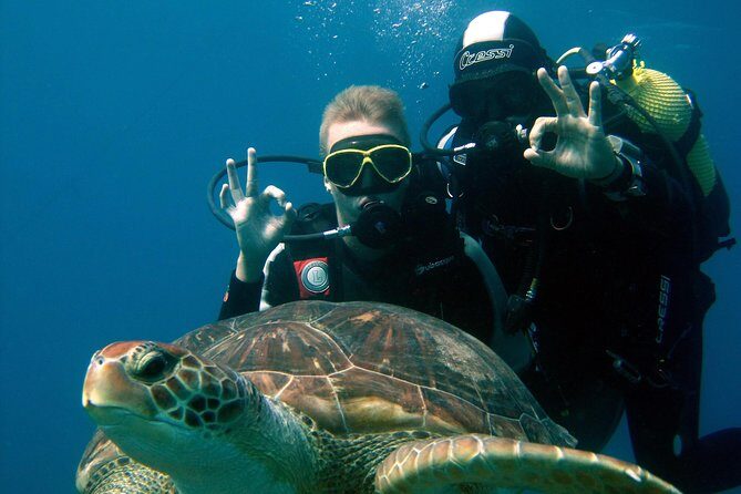 Try Scuba Diving in a turtle area (boat) - Key Points