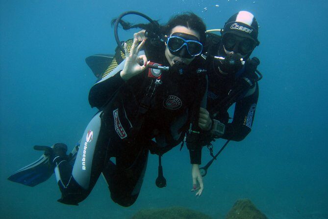 Try Scuba Diving in a turtle area (boat) - What Makes This Tour Worth Considering?