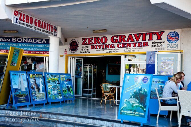 Try Scuba Diving in a turtle area (boat) - Authentic Feedback from Participants