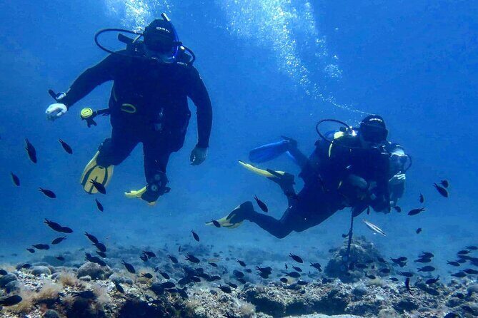 Try Scuba Diving in Split - What Is This Tour All About?