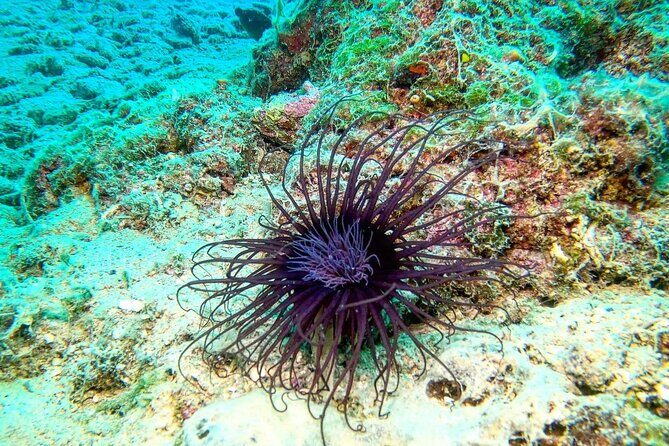 Try Scuba Diving in Split - The Itinerary: What to Expect from Start to Finish