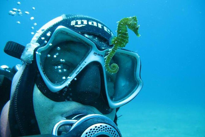 Try Scuba Diving in Split - Group Size and Personal Attention