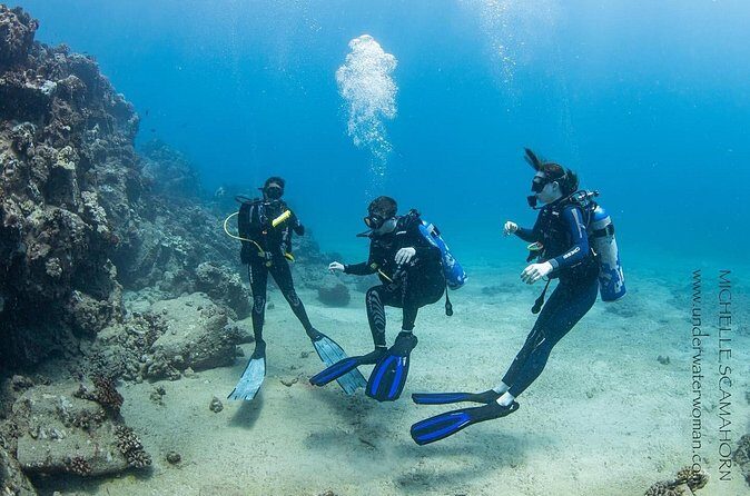 Try Scuba Diving on Kauai with Sea Turtles - The Sum Up