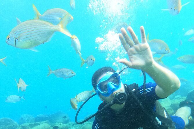 Try Scuba Diving Puerto Colon - The Equipment and Safety Measures