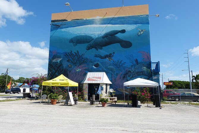 Try Scuba Diving with Professional Scuba Instructor - Morning: Classroom and Pool Practice