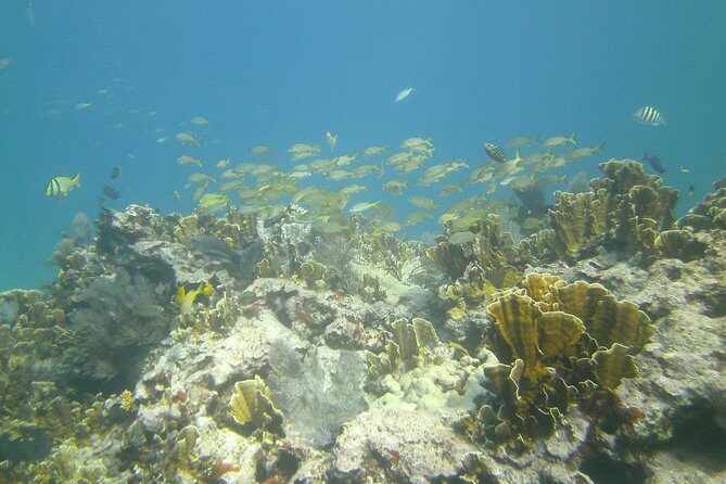 Try Scuba Diving with Professional Scuba Instructor - End of the Day