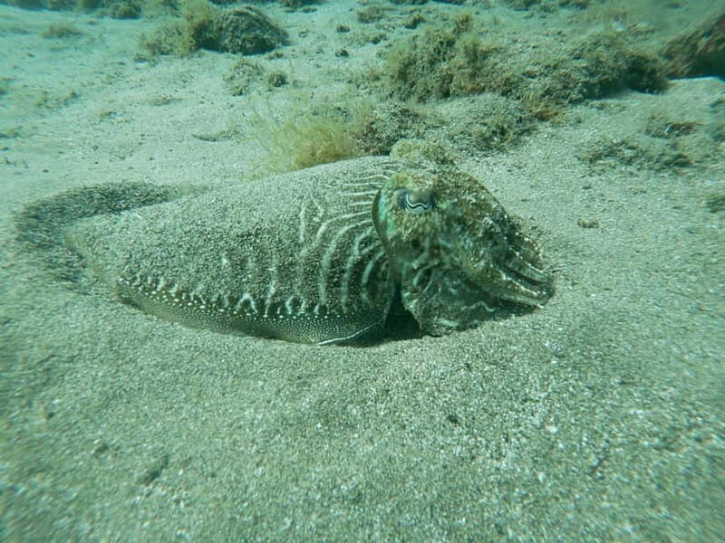 TRY SCUBA - Experience for beginners - Who Would Love This Tour?