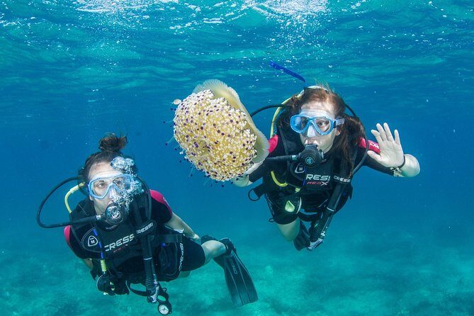 Try Scuba in Crete  Free Certification & Photos (Beginners) - The Itinerary Breakdown