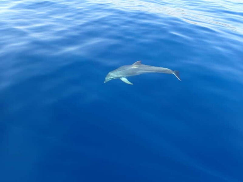 Tucepi: Snorkeling Boat Tour at the Makarska Riviera - Authentic Reviews and Real Traveler Insights