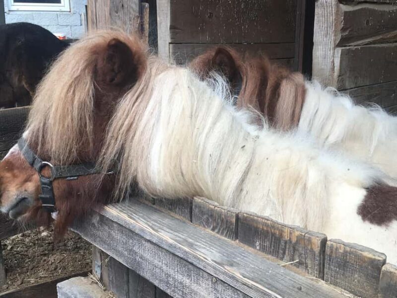 Tuheljske Toplice: E-bike Tour to Veliko Trgovie - Who Will Enjoy This Tour?