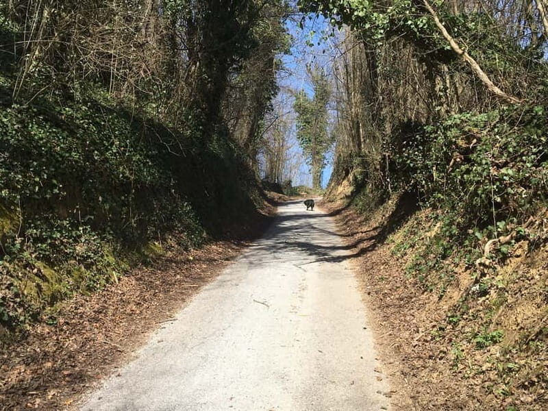 Tuheljske Toplice: Walking to the Monument Croatian Mother - An Honest Look at the Experience