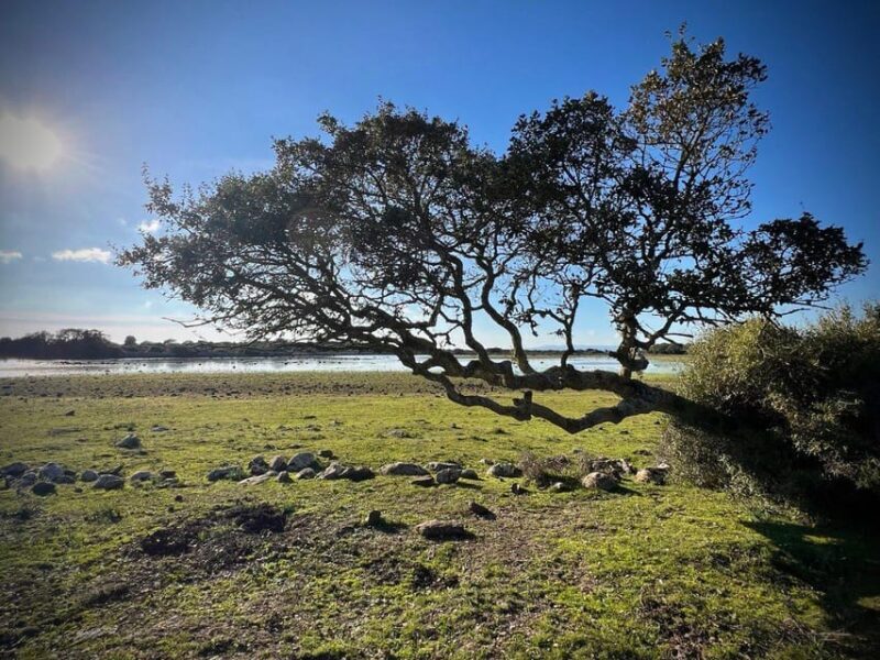 Tuili: Wild Giara Tour - Final Thoughts