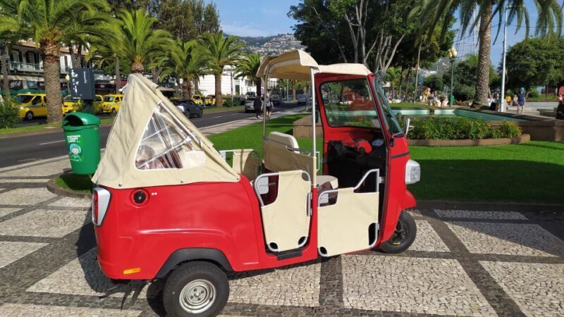 Tuk Tuk Funchal City - Madeira Island - Final Thoughts: Who Should Book This?