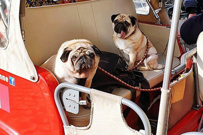 Tuk tuk Lisbon a discovery à la carte without fatigue. Lisbon differently.01 - Key Points