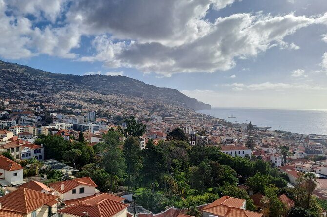 Tuk Tuk tour in Funchal - Real Traveler Insights