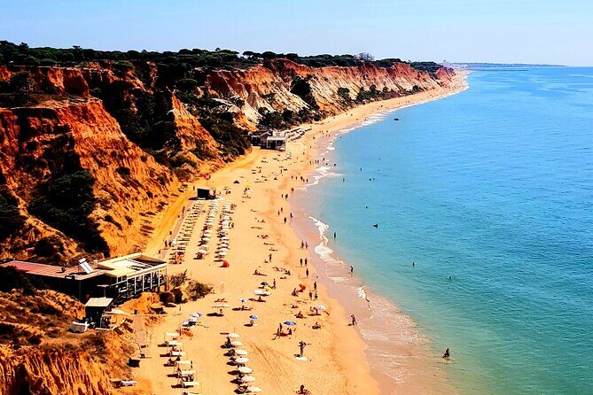 Tuk tuk tour- the best way to see coast and country side - The Experience: What Travelers Say