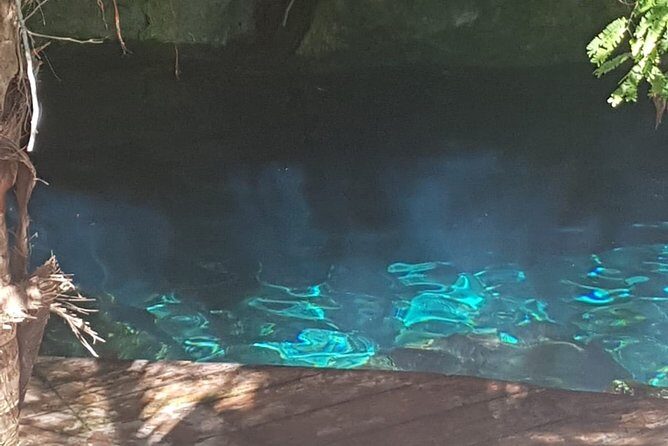 Tulaka Cenote Experience - FAQ