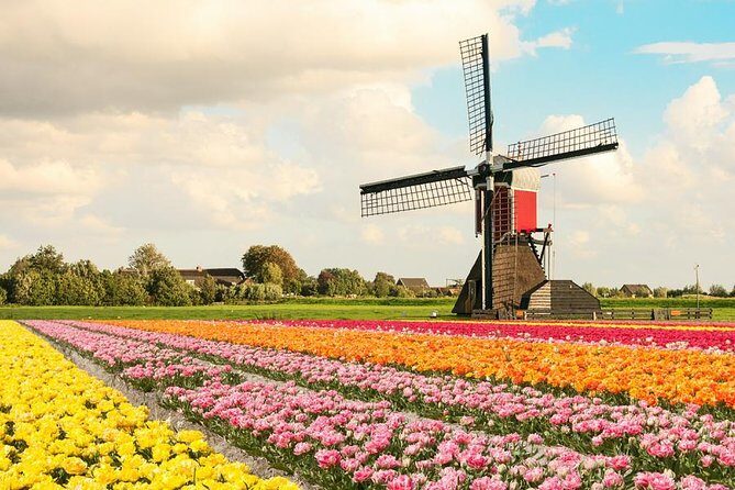 Tulip Experience and Keukenhof Flower Gardens Tour from Amsterdam - The Luxury Drive to Keukenhof