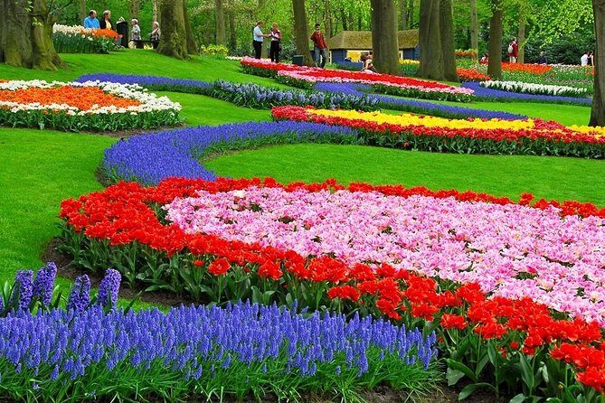 Tulip Experience and Keukenhof Flower Gardens Tour from Amsterdam - Is It Worth It?
