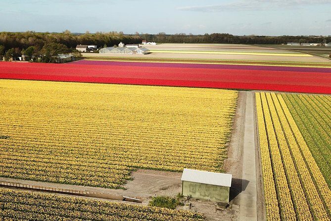 Tulip Fields Tour near Keukenhof - Self-drive with Audio Guide - Who This Tour Is Perfect For