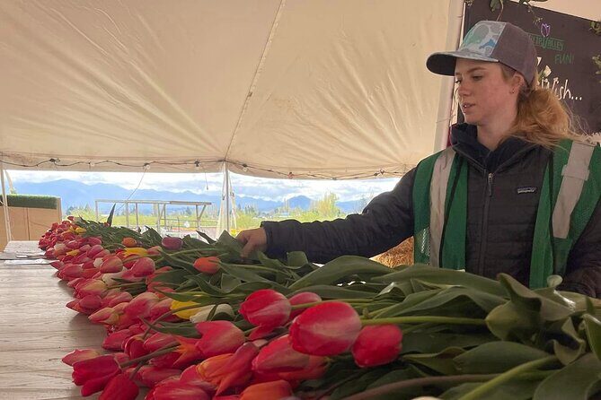 Tulip Valley Farms U Pick Experience - Key Points