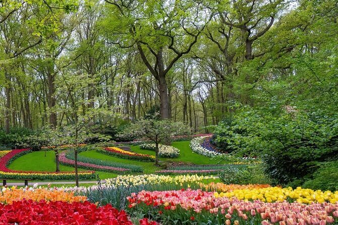 Tulips and Windmills Skip the Line Private Tour from Amsterdam - Keukenhof Gardens